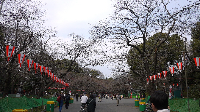 上野アメ横～上野公園_e0227942_2233878.jpg