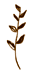 a0242944_739437.gif