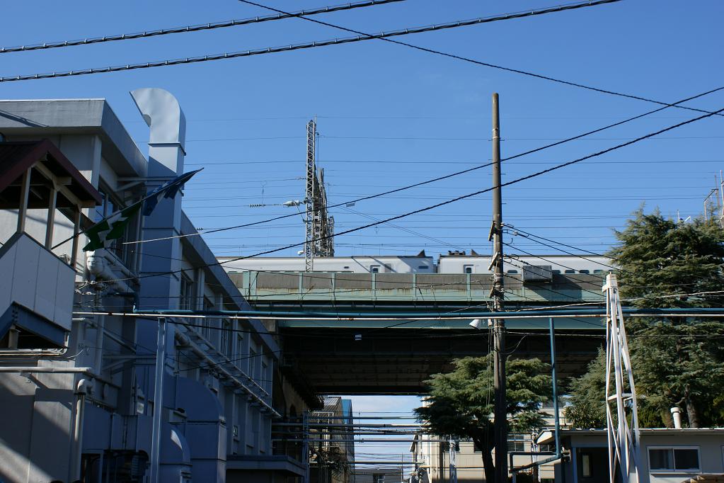 a0061947_94431.jpg