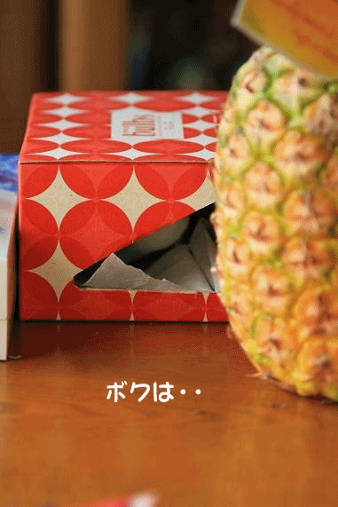 c0145250_2020271.gif