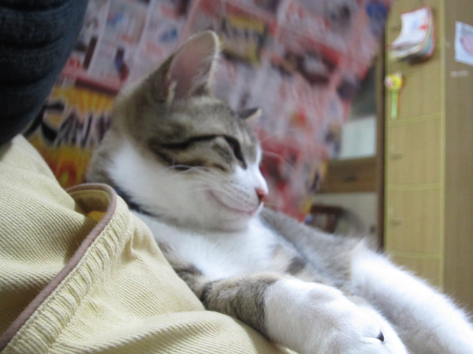 初!!子供先生(店長)_a0144352_18105235.jpg