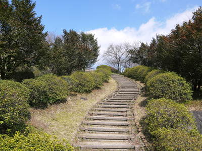FLC日記 菊池市多目的グラウンド_a0254656_114541.jpg