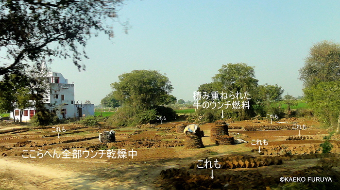 a0092659_034342.jpg