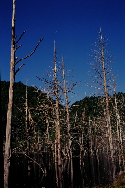 a0169060_014719.jpg