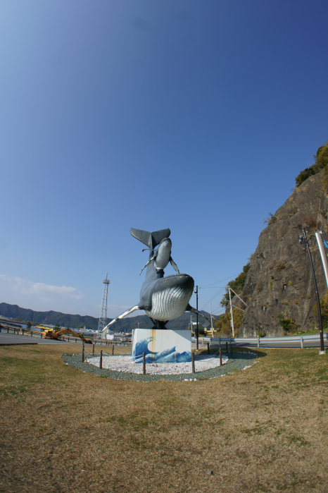 親子鯨、発見～_a0077663_926324.jpg