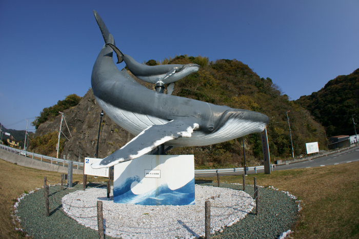 親子鯨、発見～_a0077663_927447.jpg