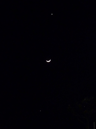 昨夜の天体ショー_d0015968_13462514.jpg