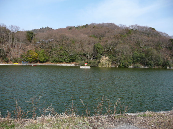 大三島探訪　4　「天の岩戸より御降臨　磐座八幡大神社」_e0165472_23142644.jpg