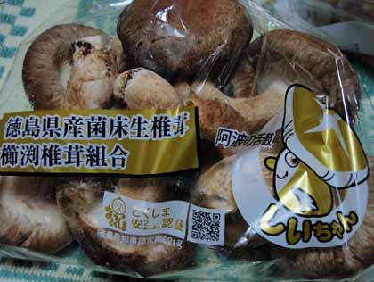 瓦礫と農業・・・静岡のお茶に学ぶ 武田邦彦 + ドレイにするノダ _c0139575_1005488.jpg