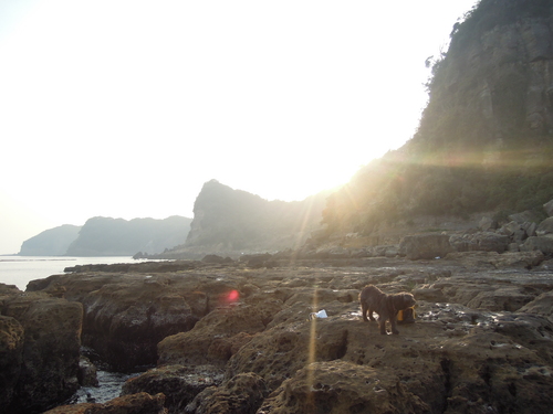 西海丼と釣行。_d0195183_2239745.jpg