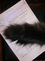 d0017084_8585050.jpg