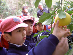 c0194485_1856537.jpg