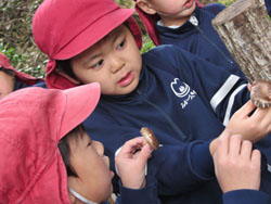 c0194485_18572227.jpg