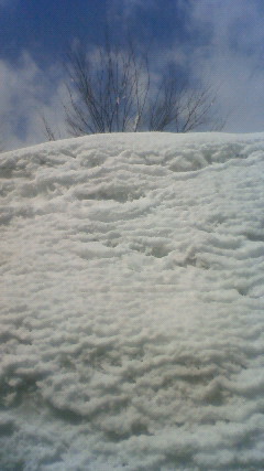 a0130586_20102542.jpg
