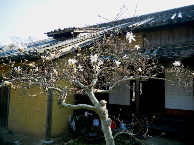 c0193187_23121041.jpg
