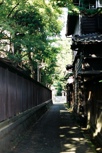 a0165599_16314588.jpg
