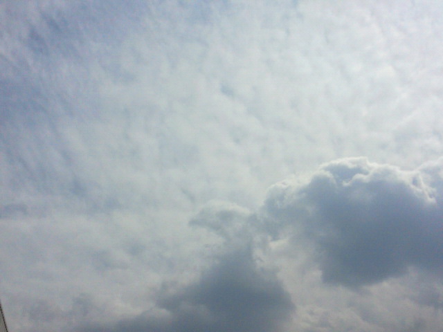 お休み明けですヽ(*^^*)ノ_c0140599_12274022.jpg