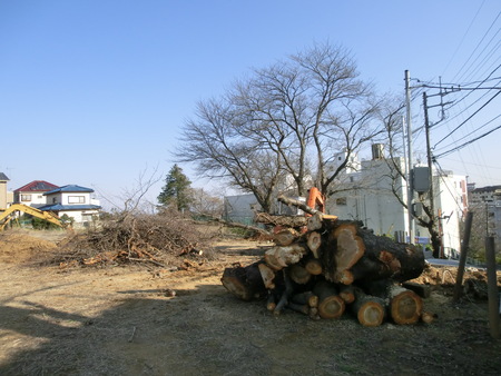 c0125702_23252.jpg