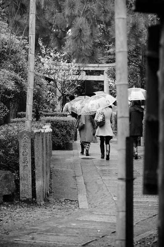 車折神社の河津桜 其の一_f0032011_1844611.jpg