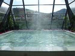 d0086228_1458535.jpg