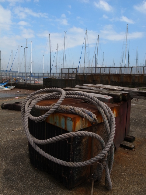 a0087341_8141785.jpg