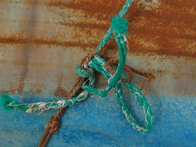 a0087341_8175576.jpg