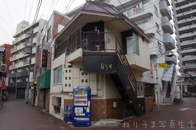 てくてく京急蒲田 ねりうま写真生活