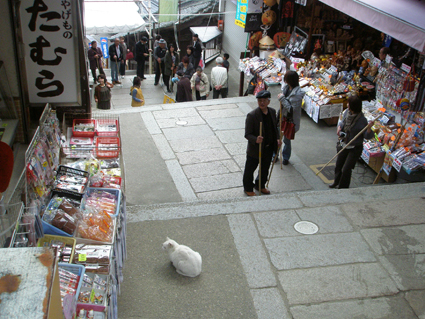 香川の旅 5_a0099744_22491754.jpg