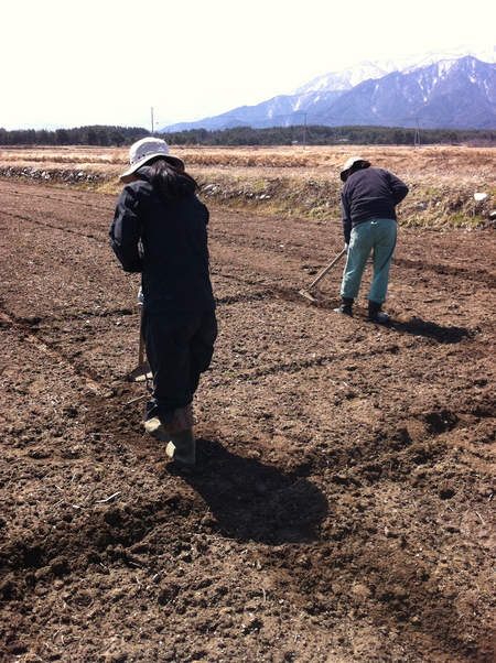 2012年度、畑部はじまりました!_b0240649_21513844.jpg
