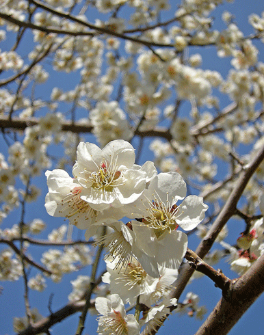 a0001354_2014852.gif