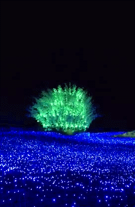 b0066455_2250515.gif