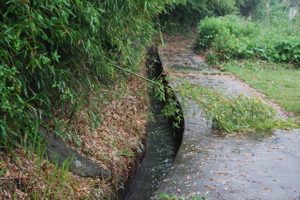 ■110612　川池井堰_b0010162_772545.jpg