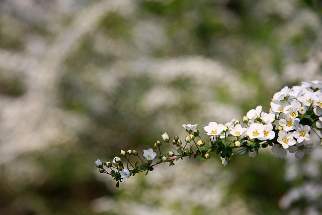 e0220163_19165665.jpg