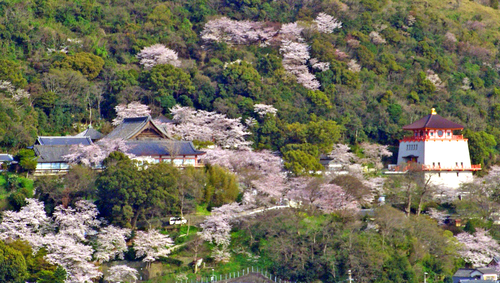 d0193569_5591471.jpg