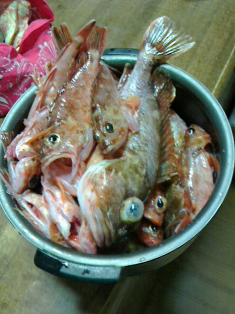 b0032380_1843240.jpg