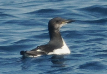 f0159390_17241019.jpg