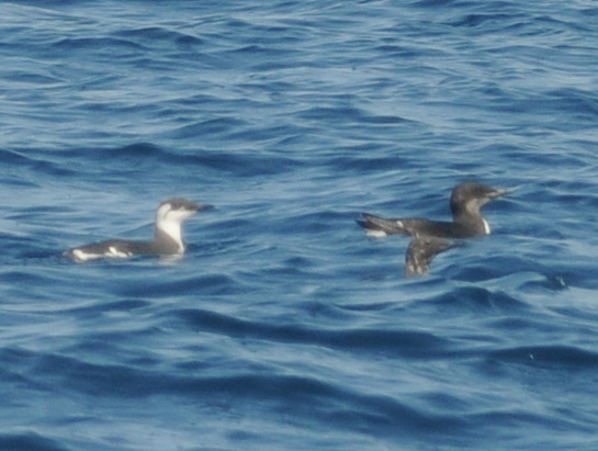 f0159390_17271819.jpg