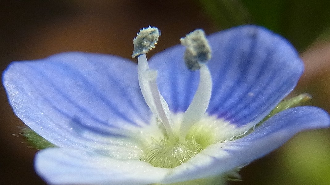 a0152692_17423521.jpg