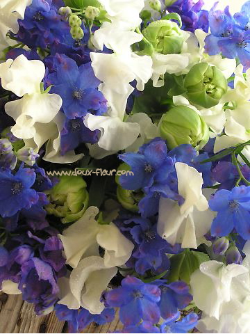 一件落着~!と、なるかな~?_d0060693_19262829.jpg