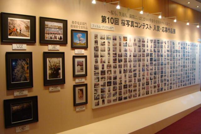 大阪帝国ホテル　桜写真コンテスト作品展_f0237893_18552888.jpg