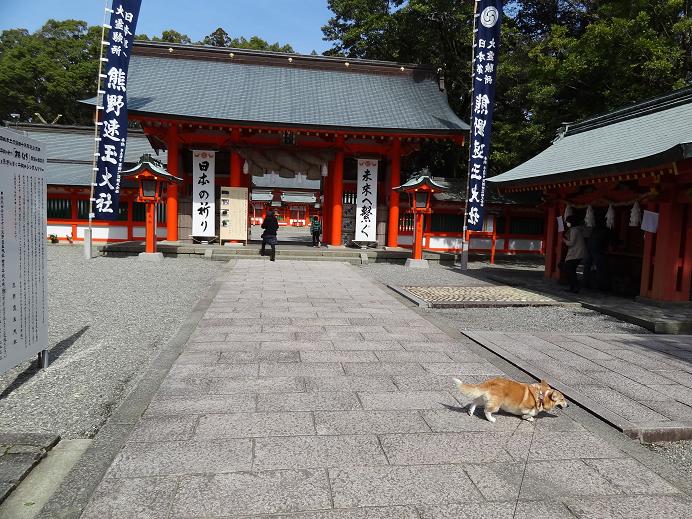 春の熊野古道への旅　その４　（川湯温泉、熊野速玉大社、熊野那智大社、那智の滝、太地）_f0075595_2581123.jpg