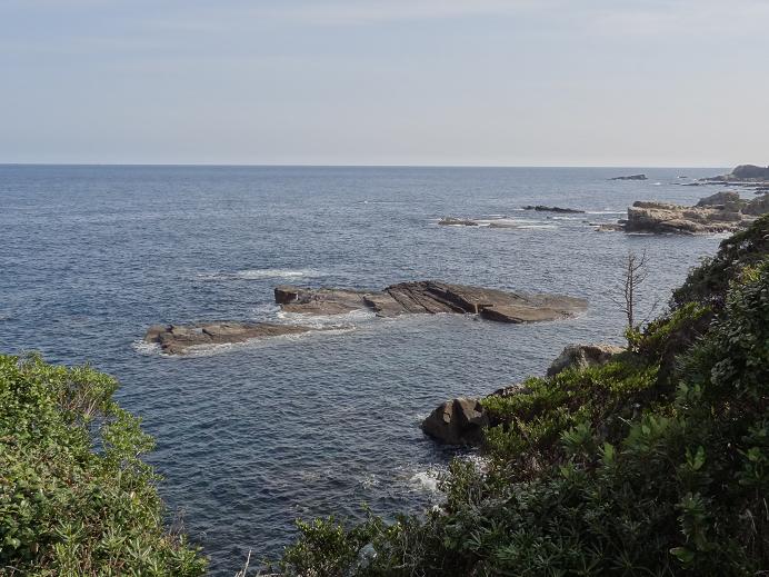 春の熊野古道への旅　その４　（川湯温泉、熊野速玉大社、熊野那智大社、那智の滝、太地）_f0075595_3104612.jpg