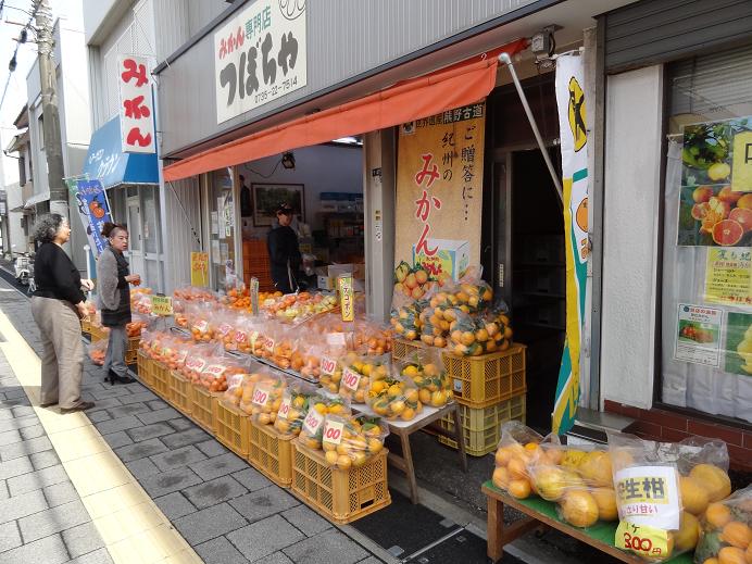 春の熊野古道への旅　その４　（川湯温泉、熊野速玉大社、熊野那智大社、那智の滝、太地）_f0075595_32537.jpg