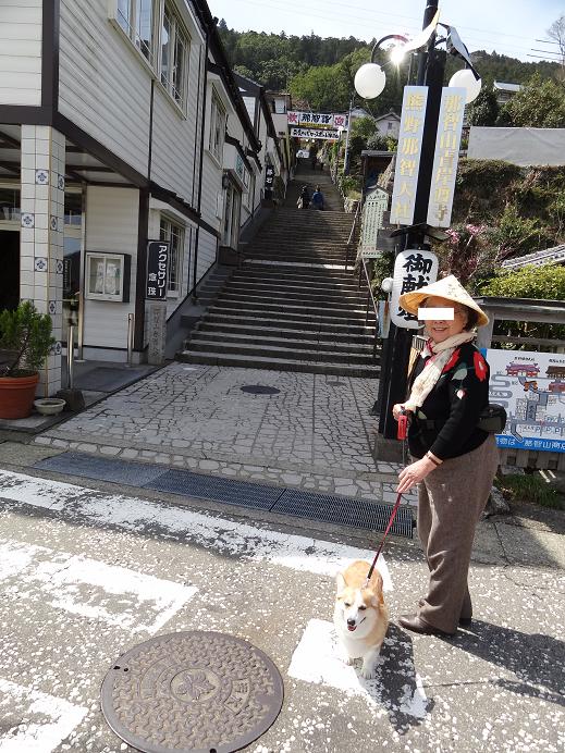 春の熊野古道への旅　その４　（川湯温泉、熊野速玉大社、熊野那智大社、那智の滝、太地）_f0075595_3346.jpg