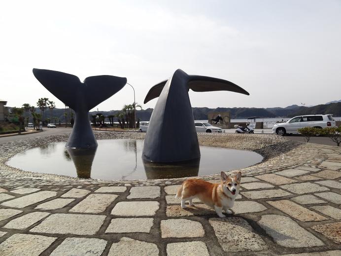 春の熊野古道への旅　その４　（川湯温泉、熊野速玉大社、熊野那智大社、那智の滝、太地）_f0075595_39238.jpg