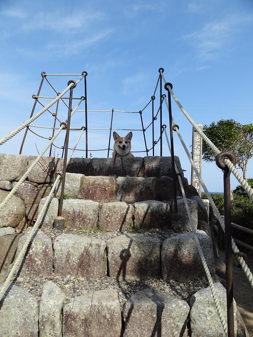 春の熊野古道への旅　その４　（川湯温泉、熊野速玉大社、熊野那智大社、那智の滝、太地）_f0075595_392873.jpg