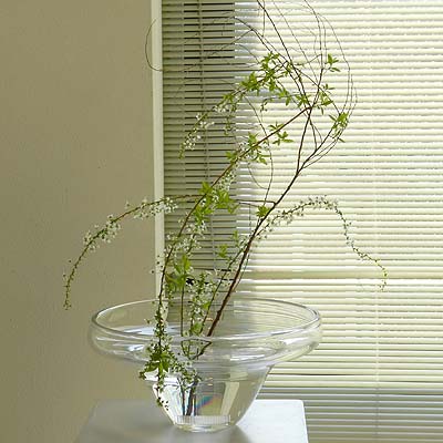 ~4/9 東雲OG8展 〜4/3西山芳浩ガラス展_f0106896_19244987.jpg