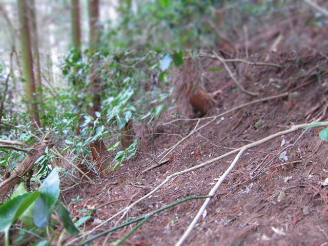 a0097006_1826043.jpg