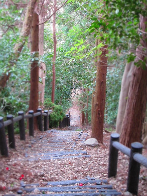 a0097006_18305215.jpg
