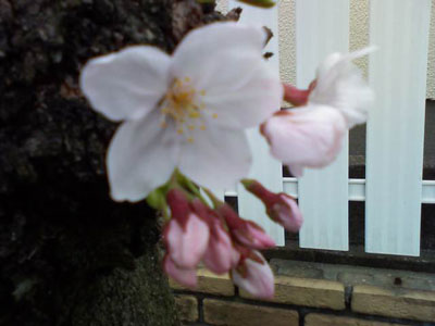 c0032212_21581776.jpg
